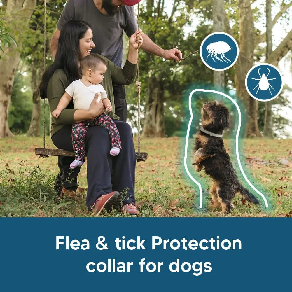 Effective Flea and Tick Premium Collar for Small Dogs