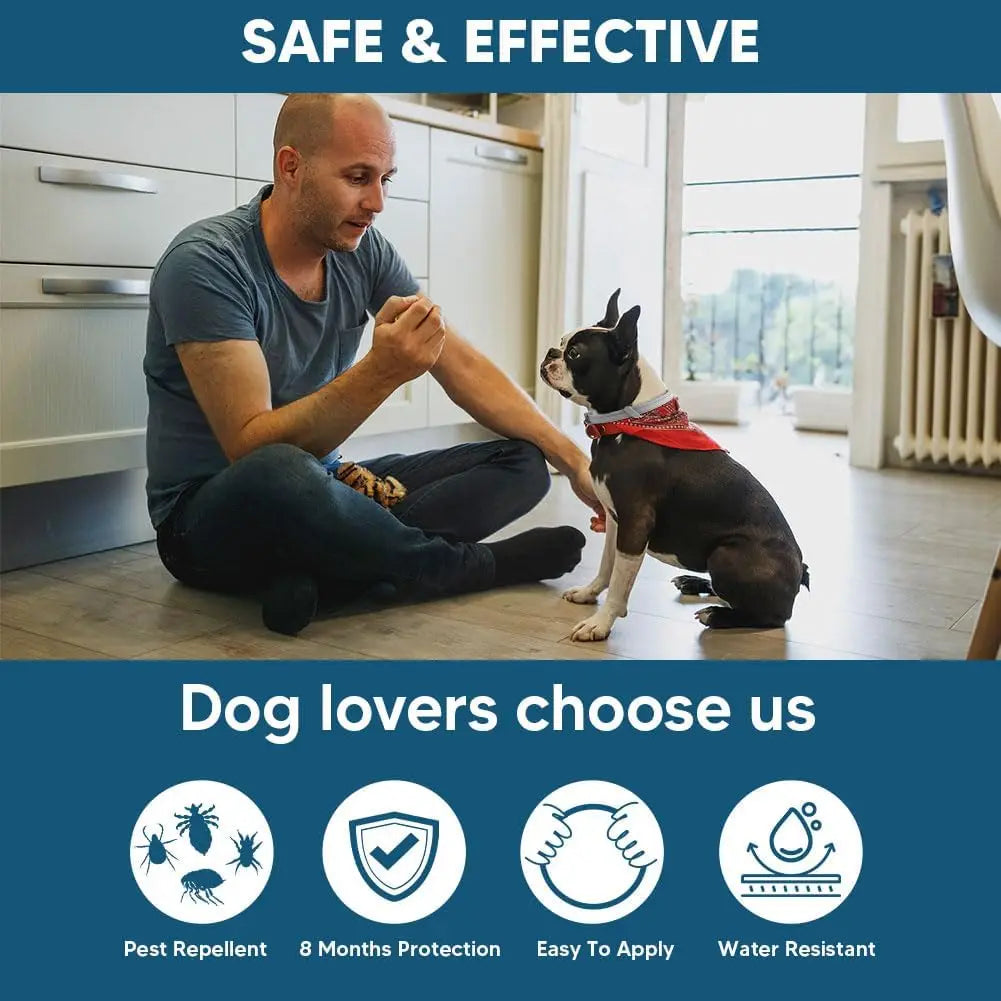 Effective Flea and Tick Premium Collar for Small Dogs