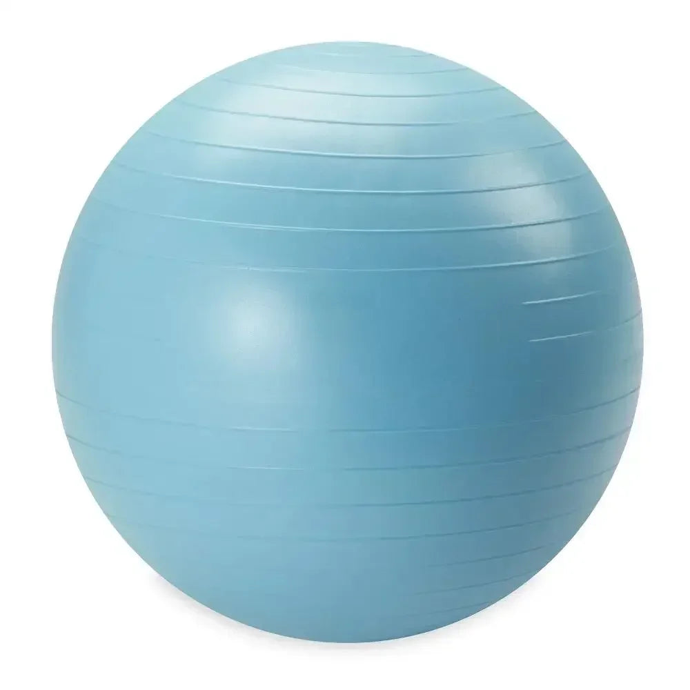 Weighted Stability Ball With Pump
