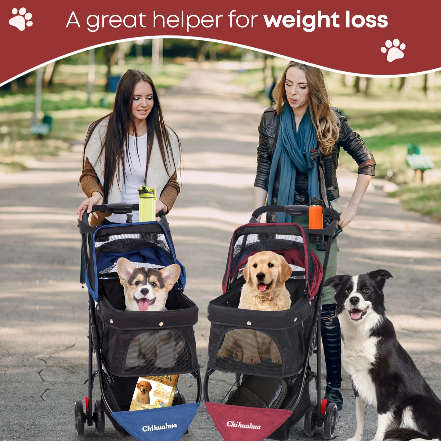 Chihuahua Pet Stroller For Small To Medium Dogs And Cats