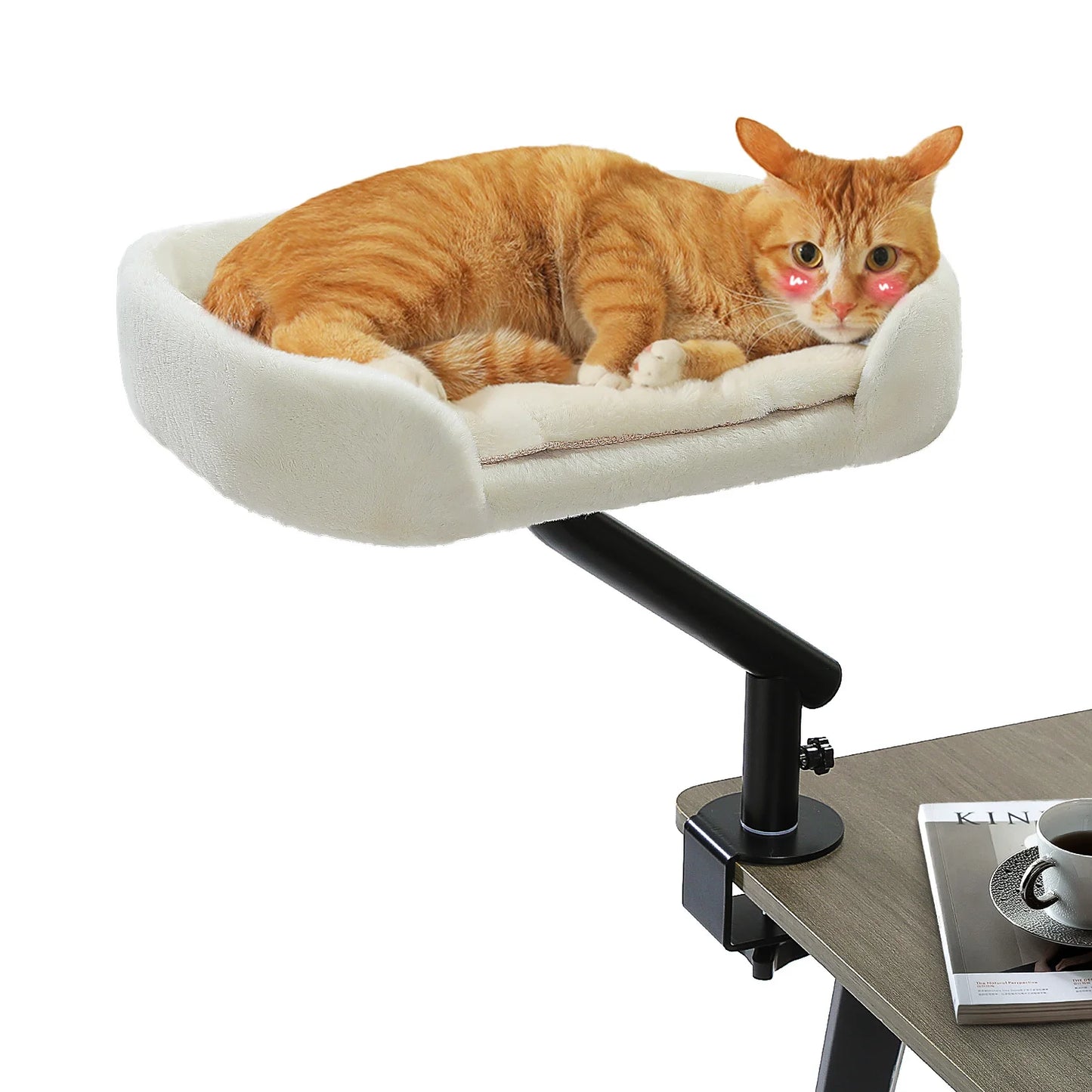 PAWZ Road Rotatable Cat Desk Bed For Indoor Cats Hammock