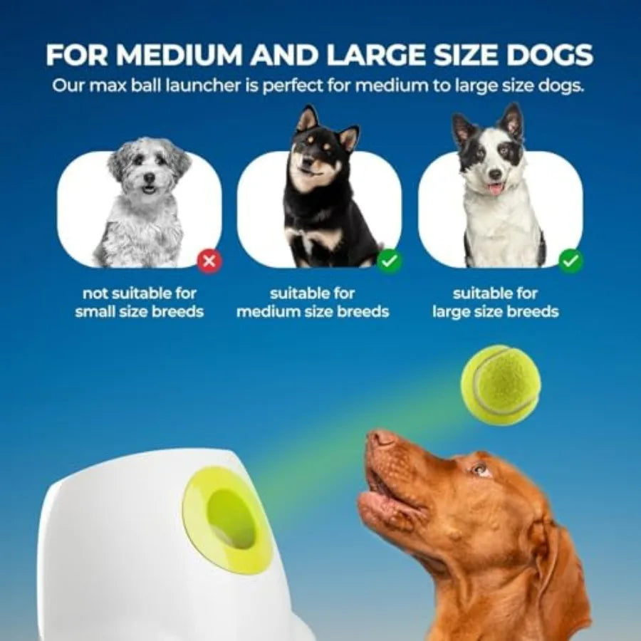 Automatic Dog Ball Launcher For Outdoor Play Rechargeable