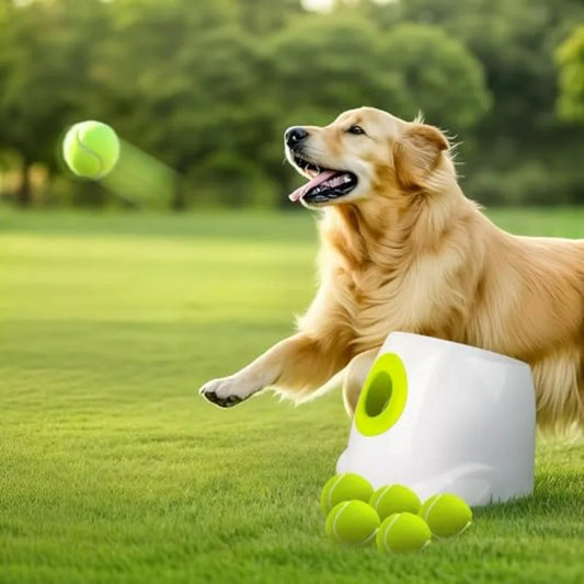 Automatic Dog Ball Launcher For Outdoor Play Rechargeable