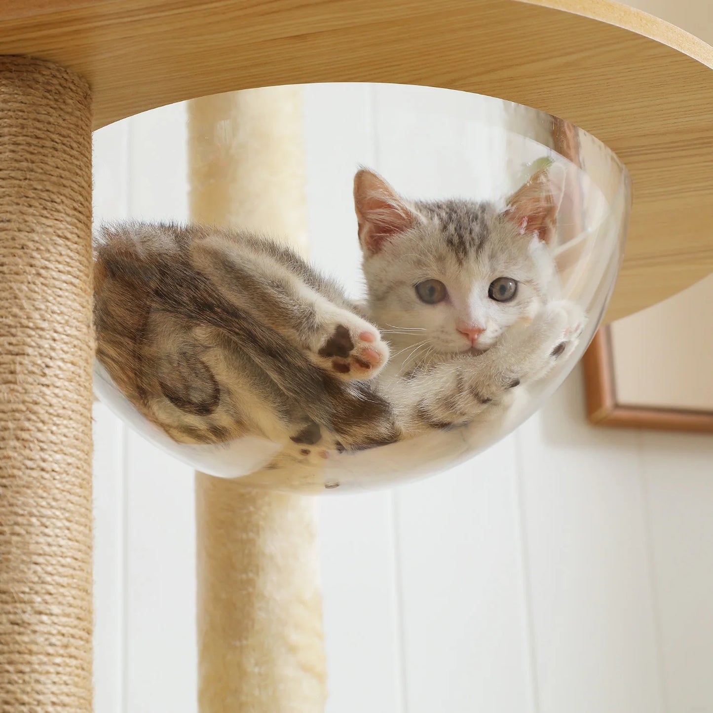PAWZ Road Multi Level Cat Tree Indoor Wood Tower With Scratching Posts Perch