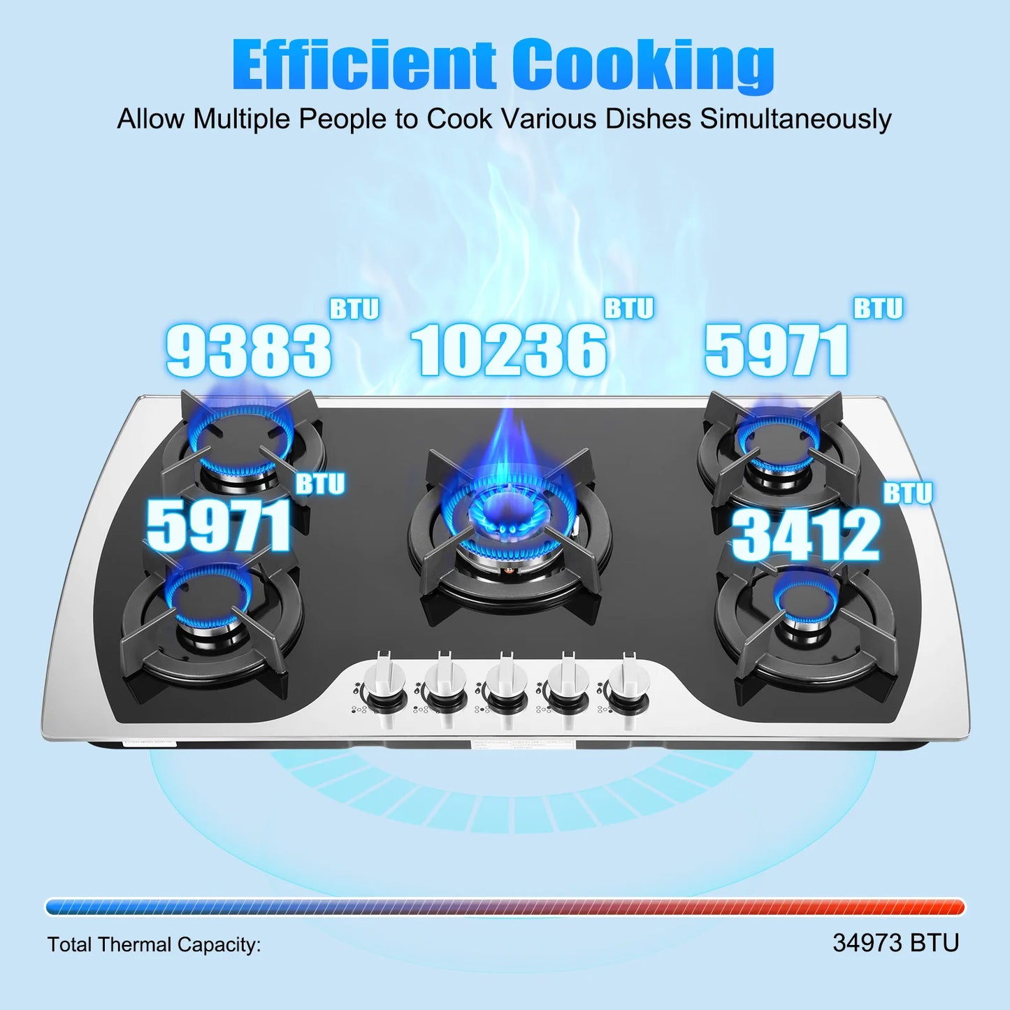 5 Burner Gas Stove Built-In Cooktop LPG NG Compatible