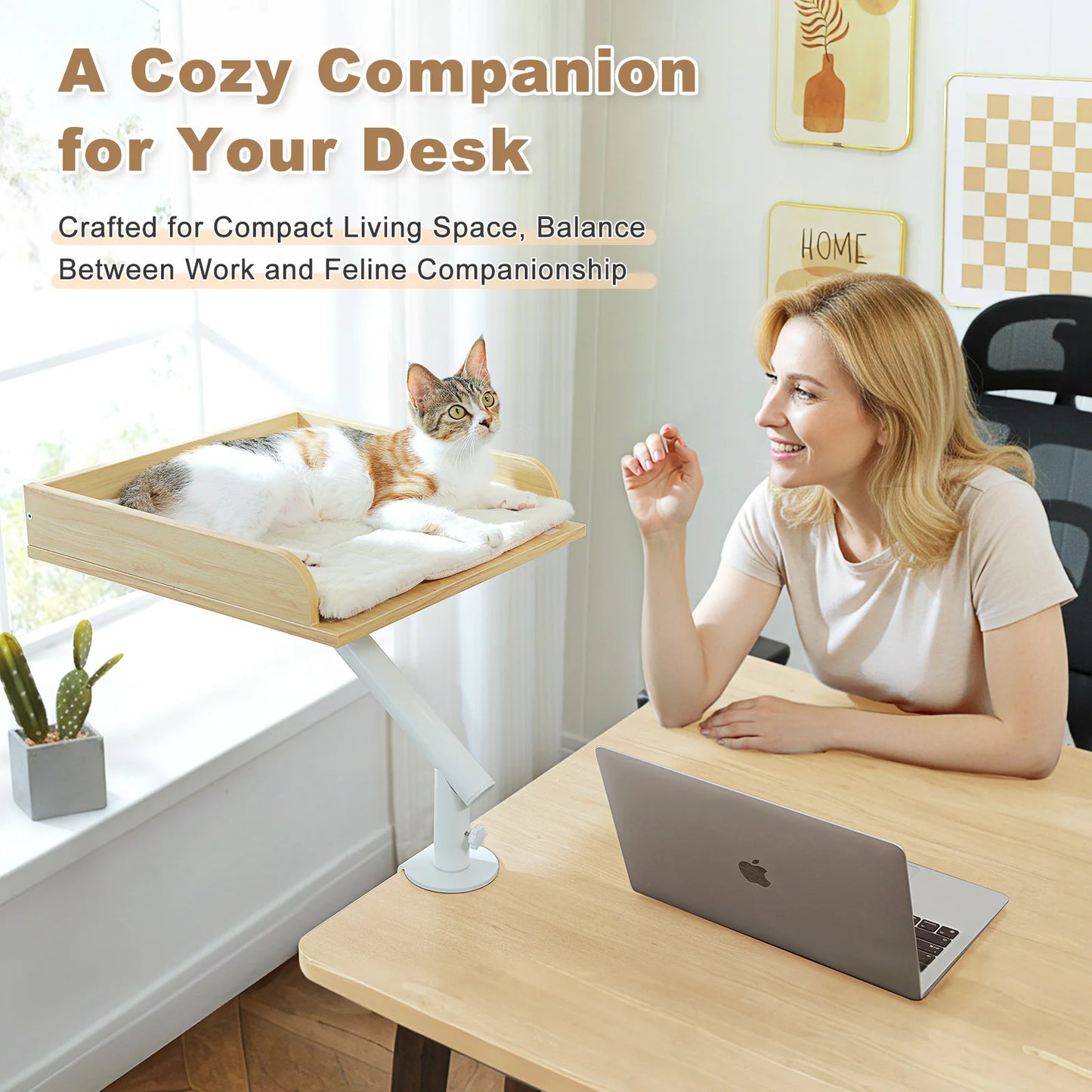 PAWZ Road Rotatable Cat Desk Bed For Indoor Cats Hammock