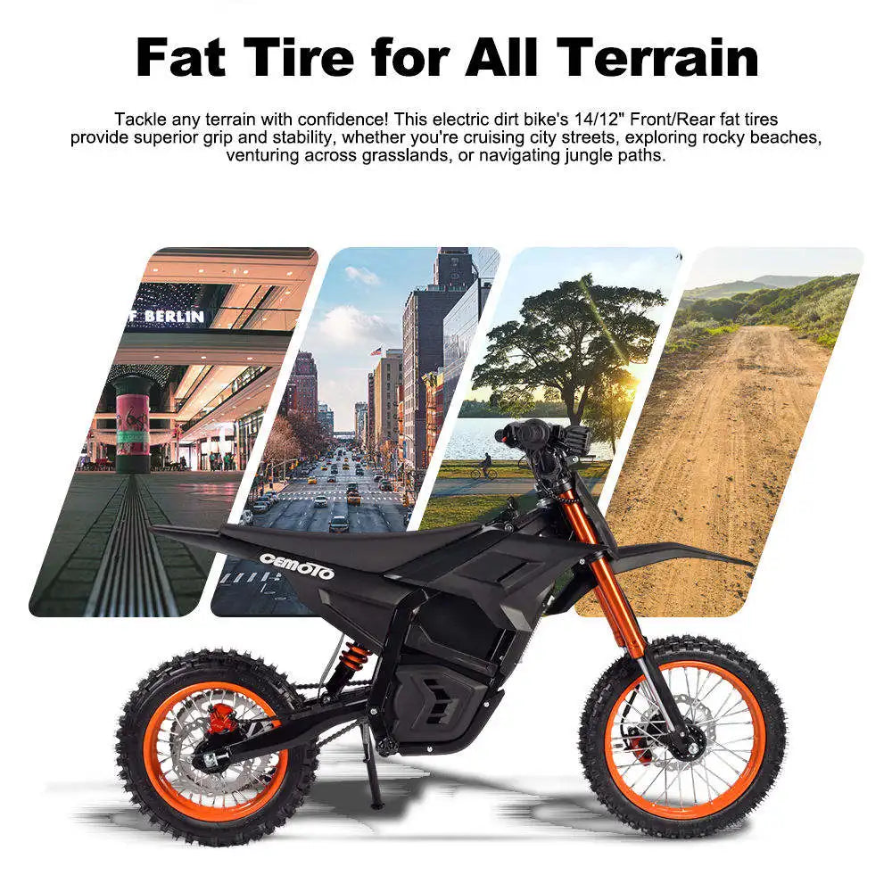 D02 Electric Bicycle 3000W Peak Motor Off Road Bike