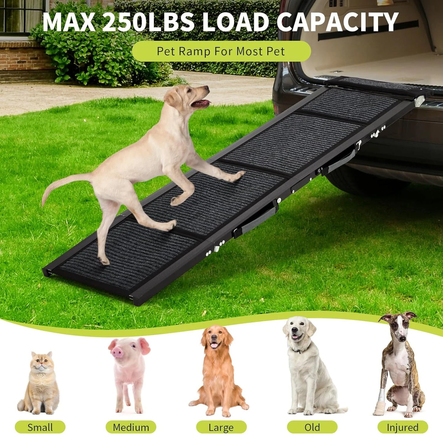 HiMISS Folding Car Dog Ramp Non-Slip Portable 250 LBS