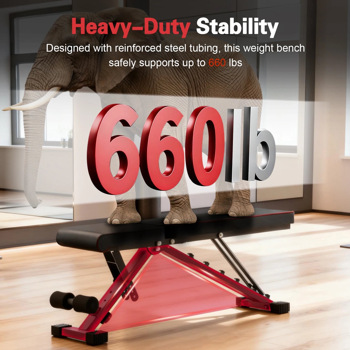 Multifunctional Adjustable Dumbbell Bench Foldable For Full Body Workout 660LBS