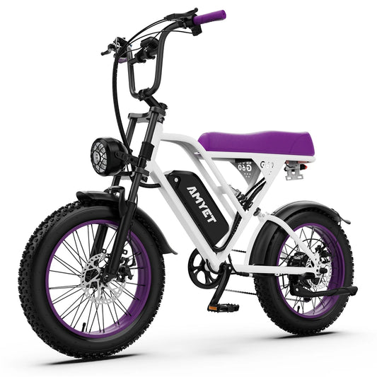 AMYET V9 G60 1000W Electric Mountain Bicycle