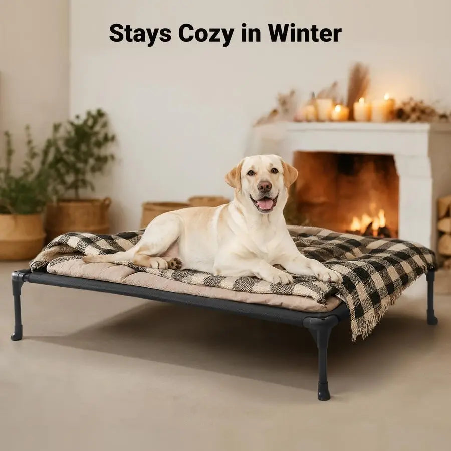 Outdoor Elevated Dog Bed For Breeds With Breathable Mat