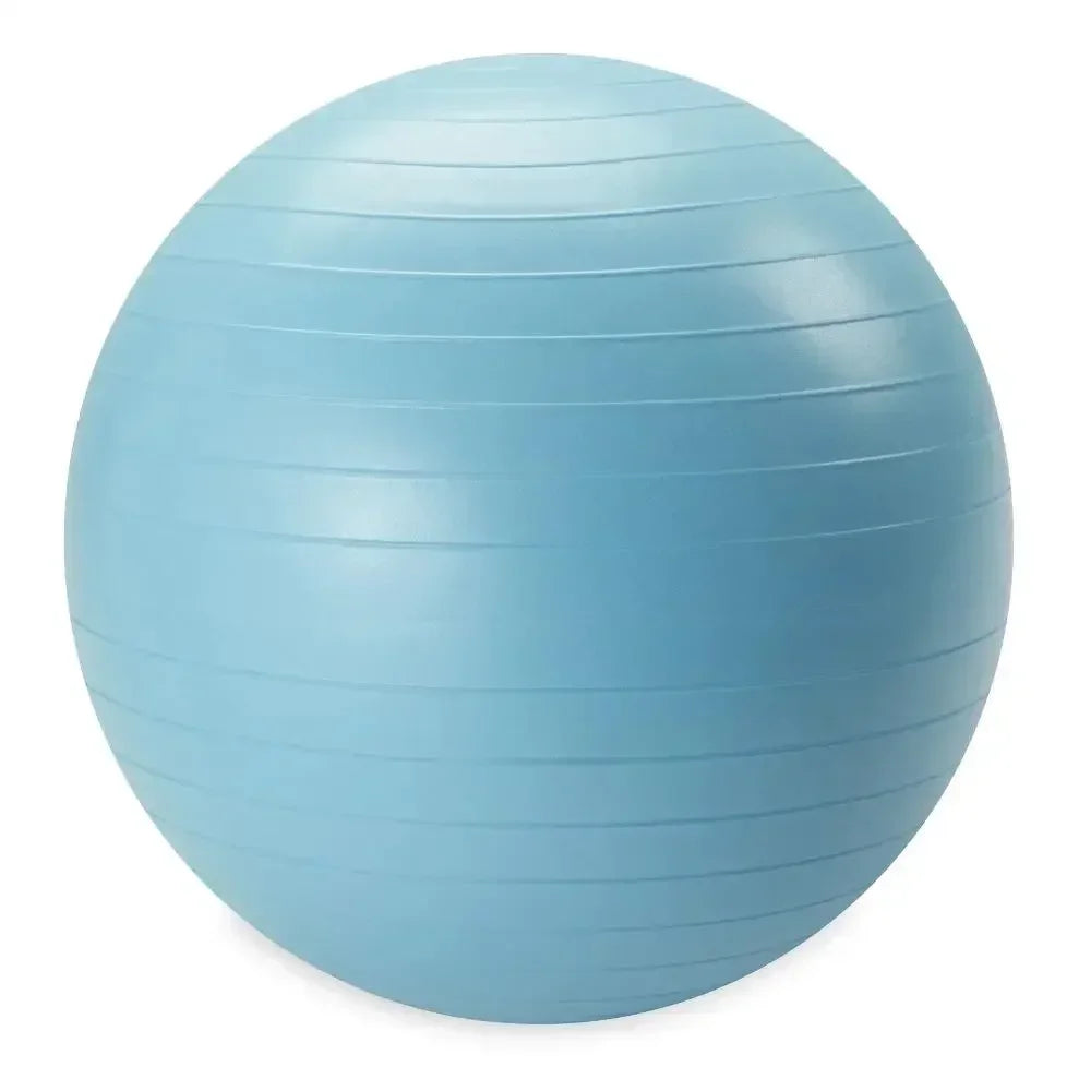Weighted Stability Ball With Pump