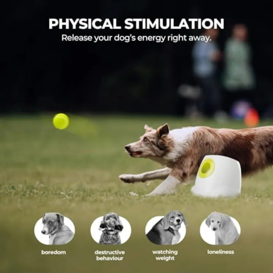 Automatic Dog Ball Launcher For Outdoor Play Rechargeable