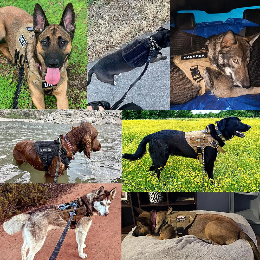 PETRAVELCN Dog Harness Vest And Leash Set For Training And Walking