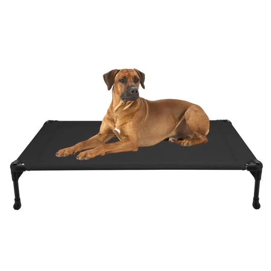 Outdoor Elevated Dog Bed For Breeds With Breathable Mat